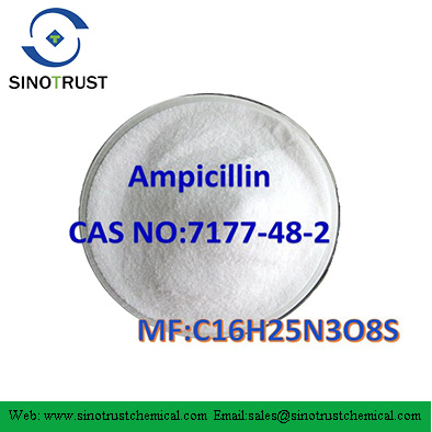 CAS NO: 7177-48-2 Ampicillin Trihydrate