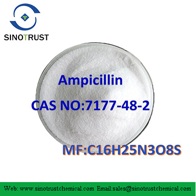 Ampicillin Trihydrate